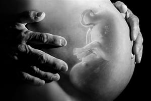 hypnobirthing babymassage duisburg marie sanfte geburt plazenta nabelschnur babybauch nosoden säugling